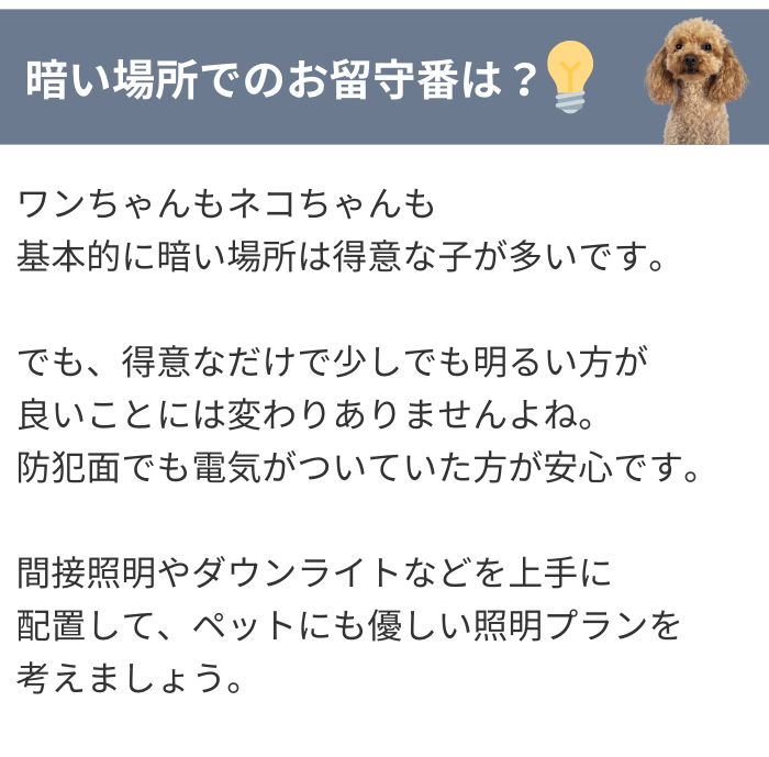 暗い場所でのお留守番は